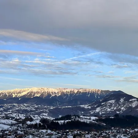 The Pines Bucegi 5*